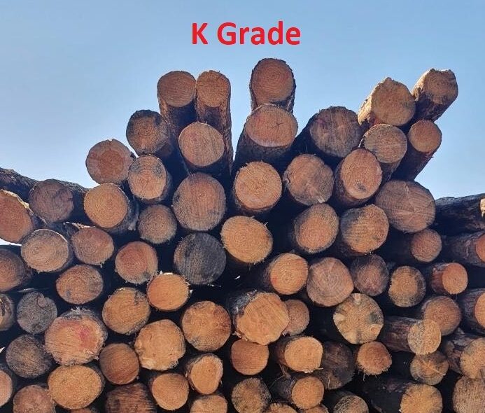 Norwood Log Grades