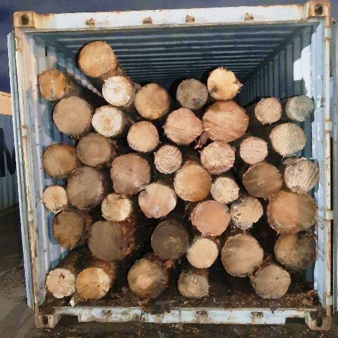 Norwood Logs Shipping