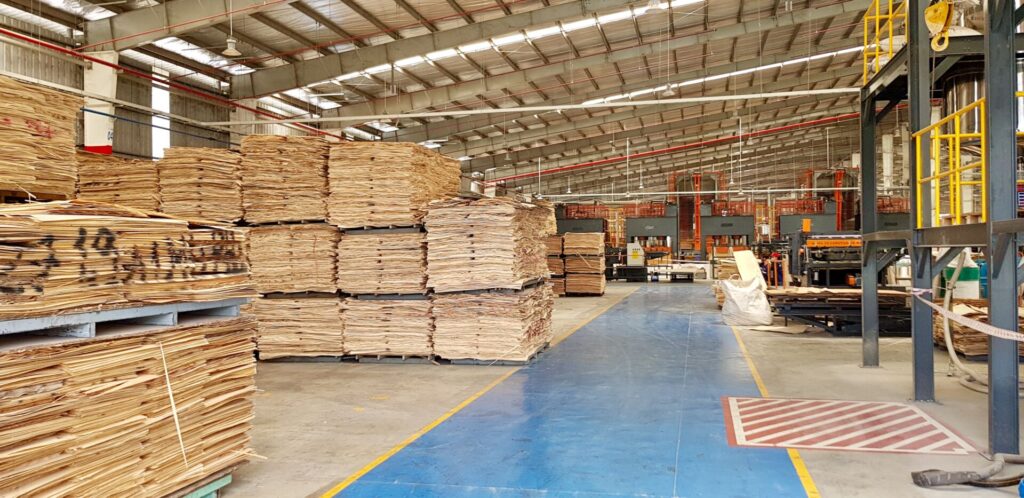 Plywood Production at Norwood