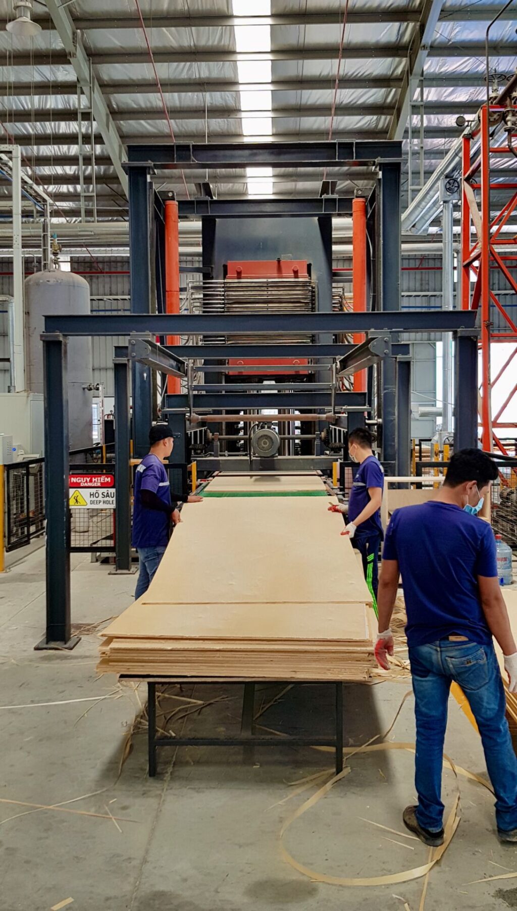 Plywood Production at Norwood