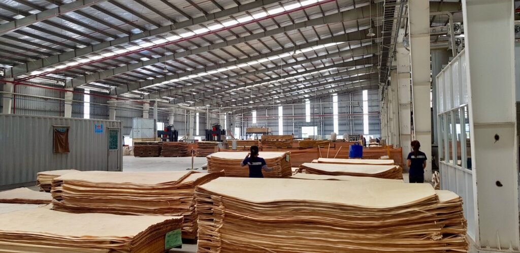 Plywood Production at Norwood