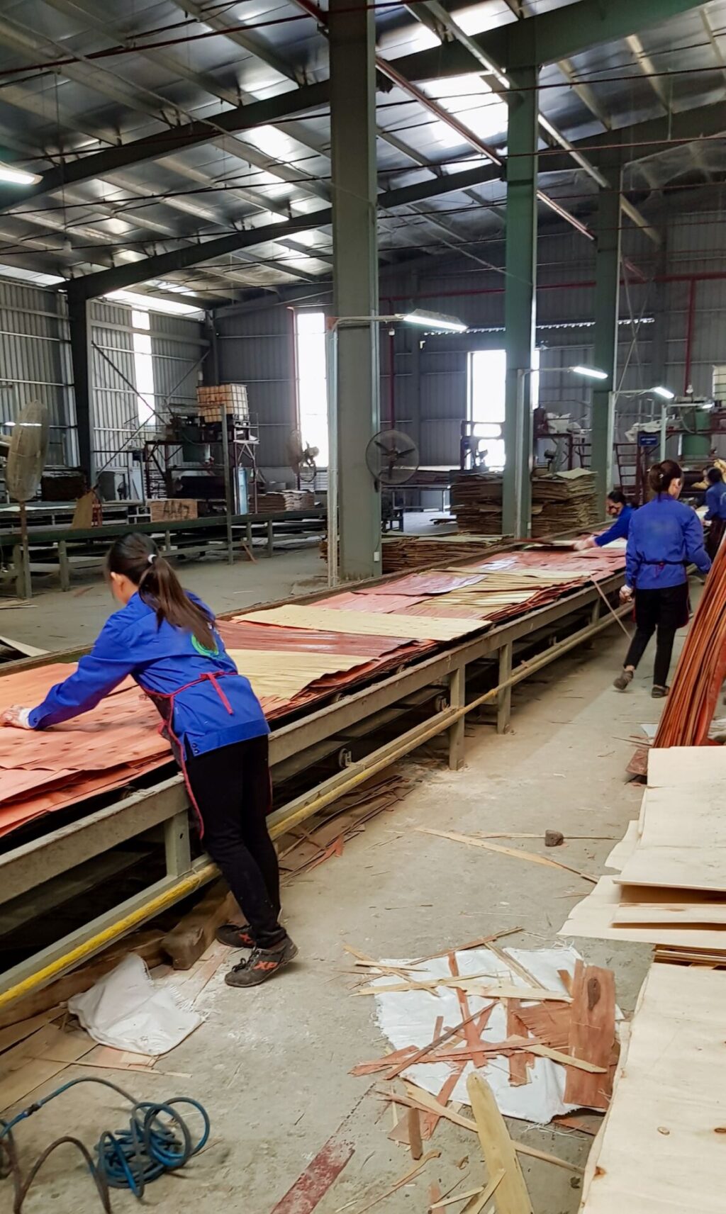Plywood Production at Norwood