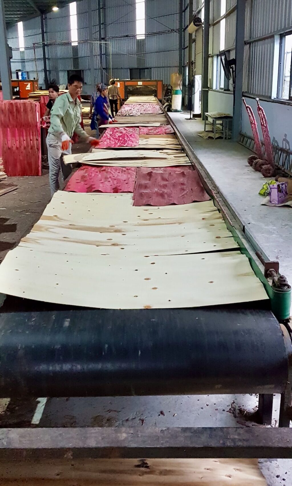 Plywood Production at Norwood