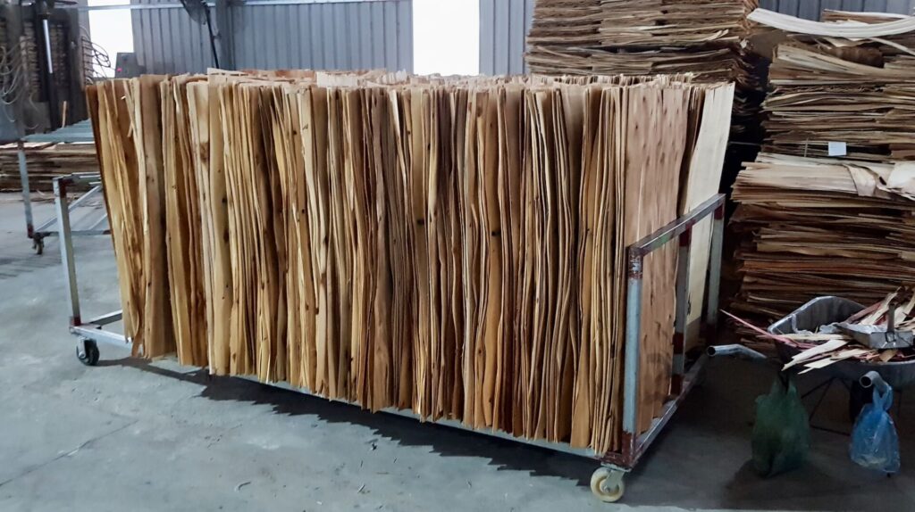 Plywood Production at Norwood